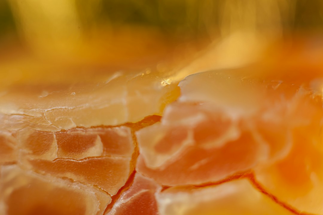 Visual illustration for light exposure food degradation