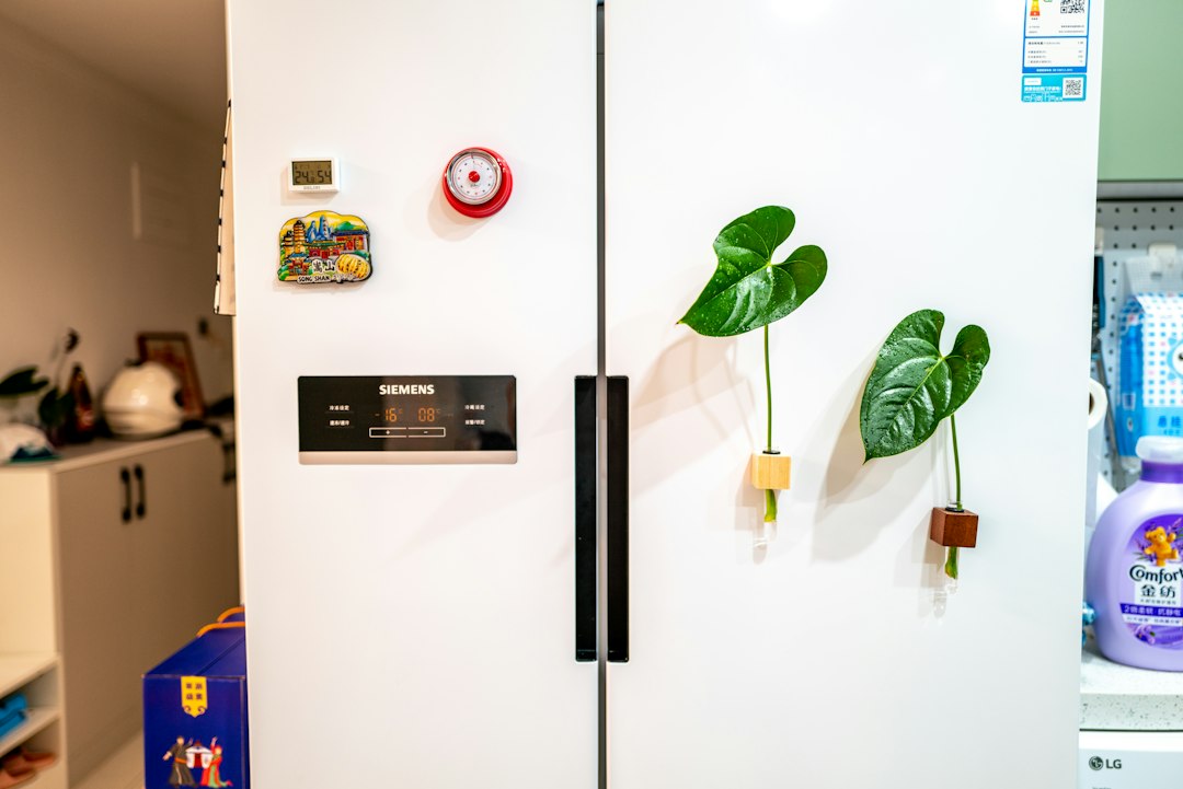 Visual illustration for refrigerator temperature zones